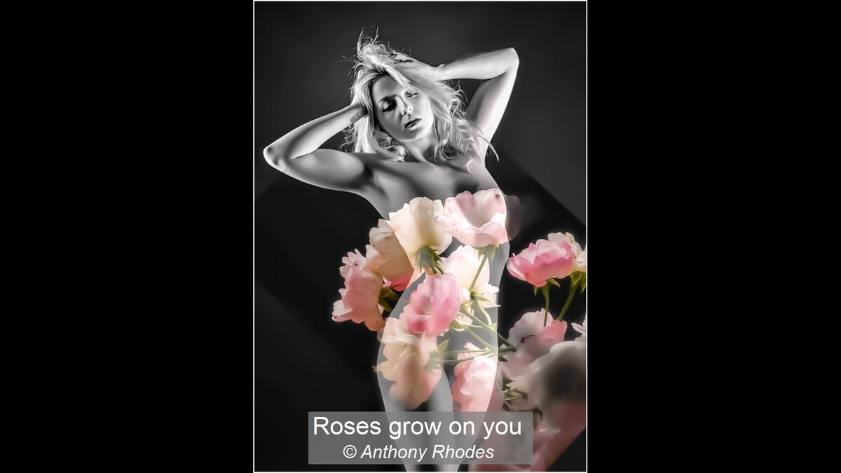 Roses grow on you